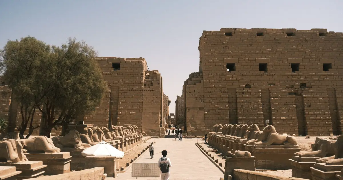 تنسيق الجامعات 2026: نشر قوائم الأوائل وتحذيرات من تداول الرقم السري
